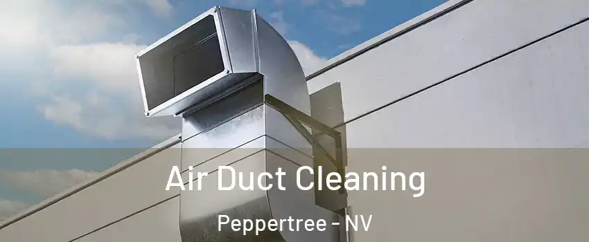 Air Duct Cleaning Peppertree - NV