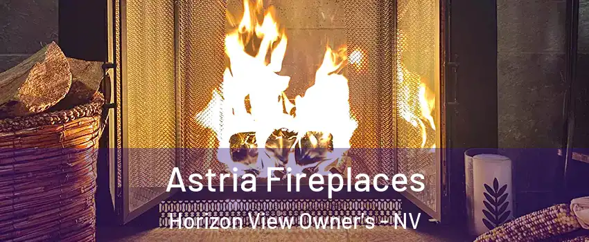 Astria Fireplaces Horizon View Owner's - NV