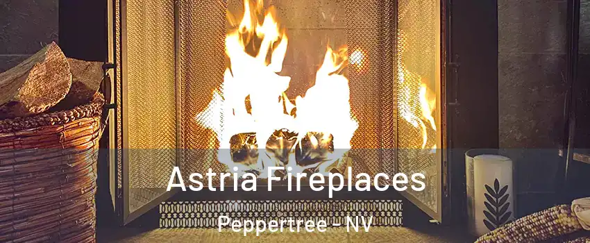 Astria Fireplaces Peppertree - NV