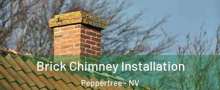 Brick Chimney Installation Peppertree - NV
