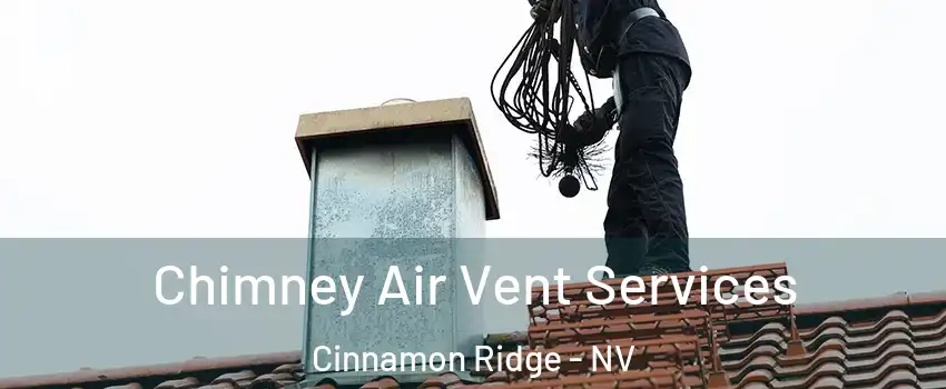 Chimney Air Vent Services Cinnamon Ridge - NV