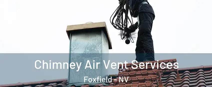 Chimney Air Vent Services Foxfield - NV