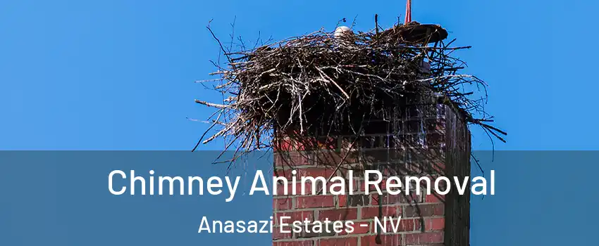 Chimney Animal Removal Anasazi Estates - NV