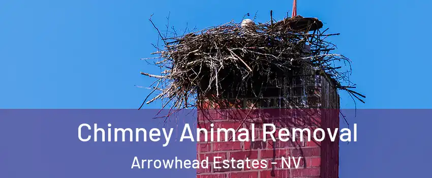 Chimney Animal Removal Arrowhead Estates - NV