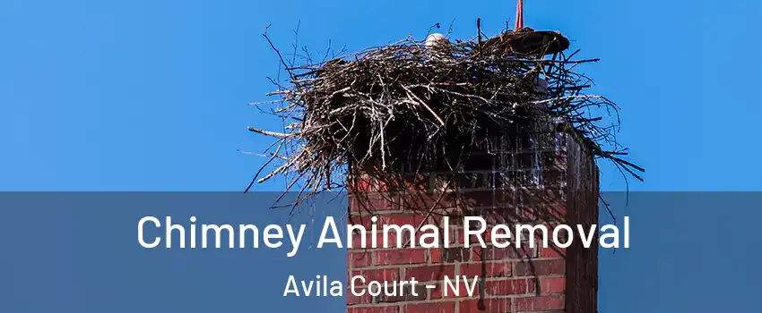 Chimney Animal Removal Avila Court - NV