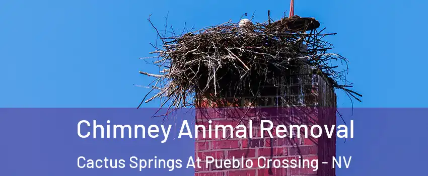 Chimney Animal Removal Cactus Springs At Pueblo Crossing - NV