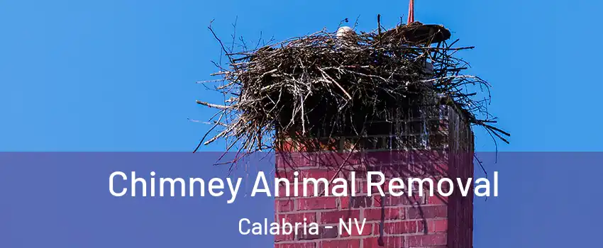 Chimney Animal Removal Calabria - NV