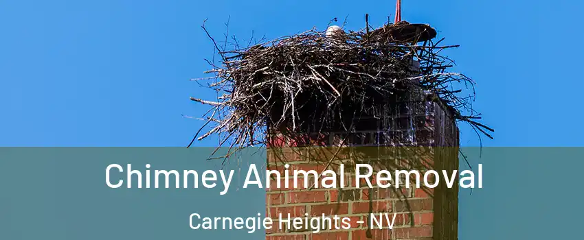 Chimney Animal Removal Carnegie Heights - NV