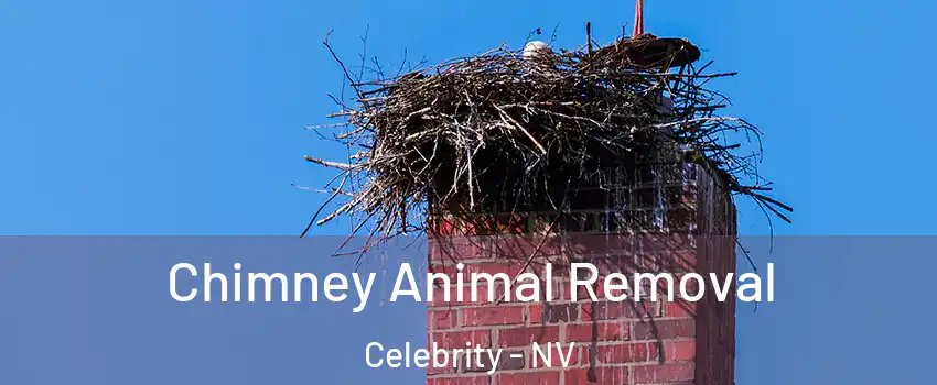 Chimney Animal Removal Celebrity - NV