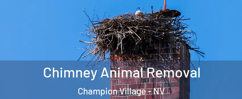 Chimney Animal Removal Champion Village - NV