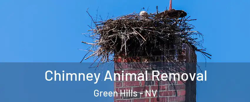 Chimney Animal Removal Green Hills - NV
