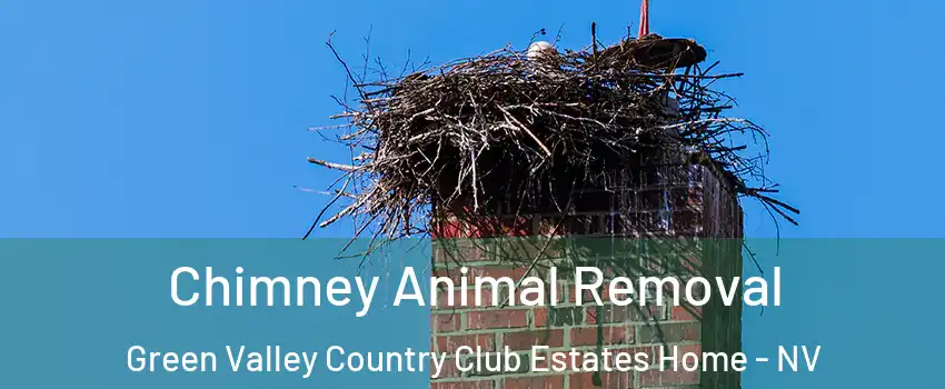 Chimney Animal Removal Green Valley Country Club Estates Home - NV