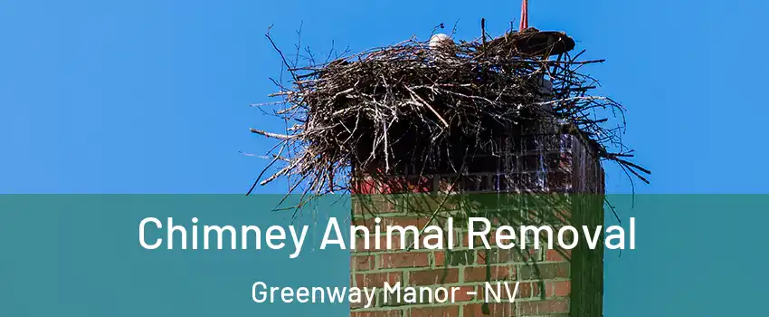 Chimney Animal Removal Greenway Manor - NV