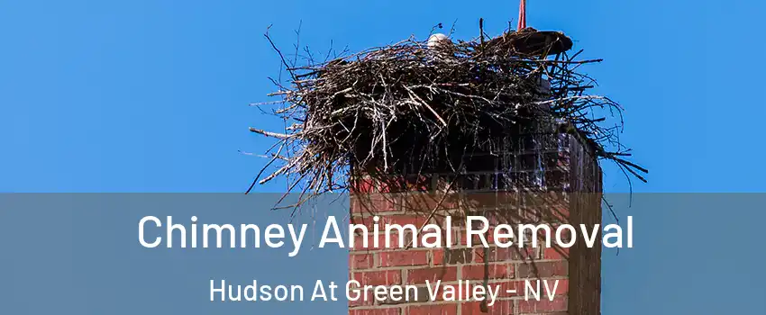 Chimney Animal Removal Hudson At Green Valley - NV