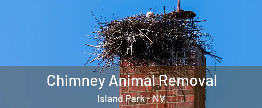 Chimney Animal Removal Island Park - NV