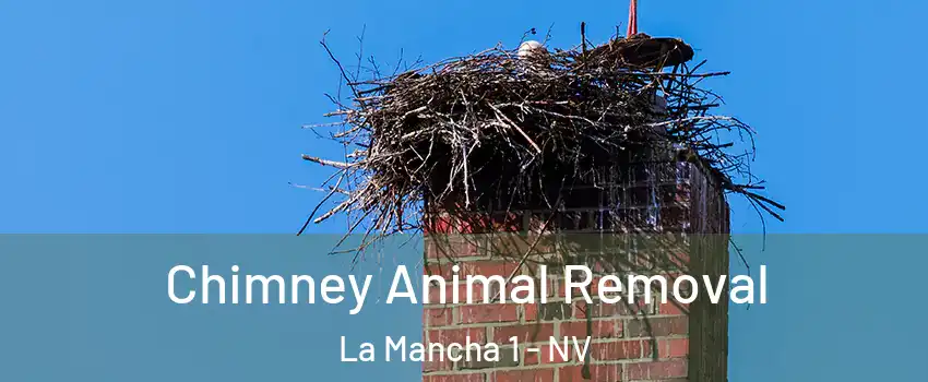 Chimney Animal Removal La Mancha 1 - NV