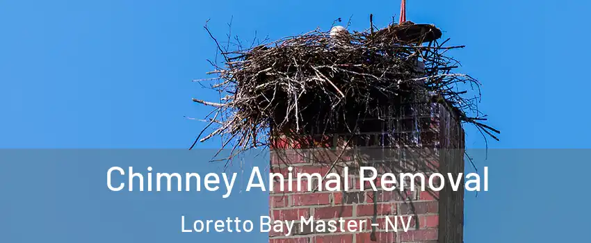 Chimney Animal Removal Loretto Bay Master - NV