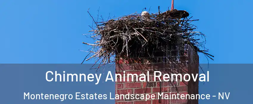 Chimney Animal Removal Montenegro Estates Landscape Maintenance - NV