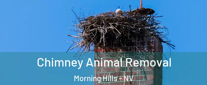 Chimney Animal Removal Morning Hills - NV