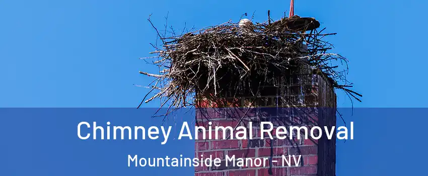Chimney Animal Removal Mountainside Manor - NV
