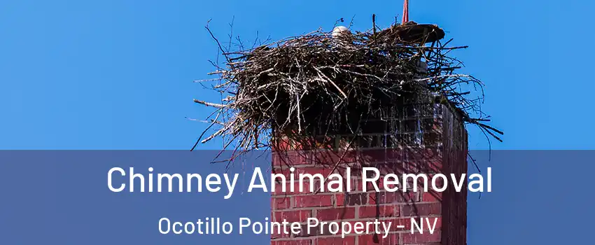 Chimney Animal Removal Ocotillo Pointe Property - NV