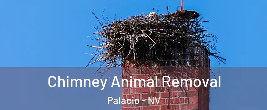 Chimney Animal Removal Palacio - NV