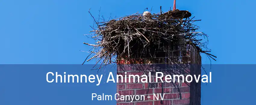 Chimney Animal Removal Palm Canyon - NV
