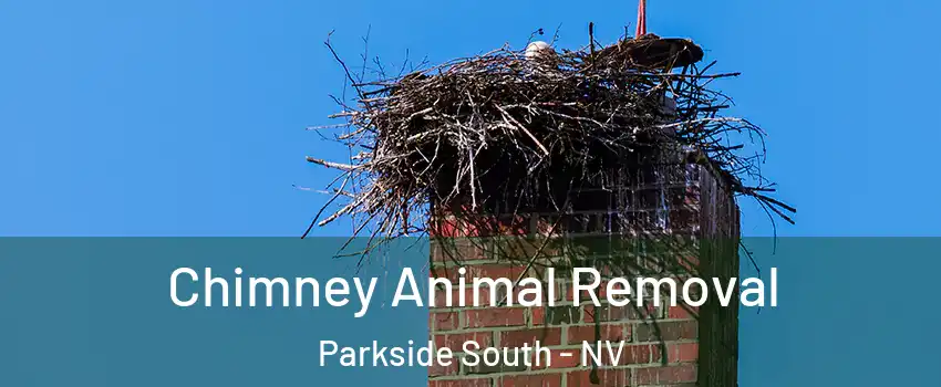 Chimney Animal Removal Parkside South - NV