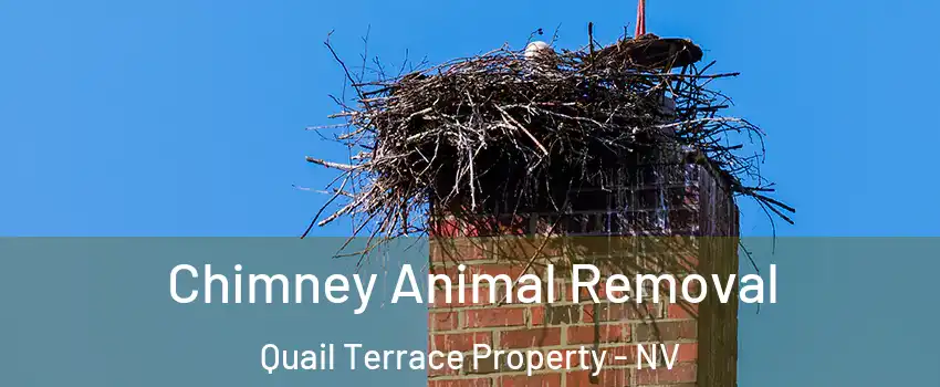 Chimney Animal Removal Quail Terrace Property - NV