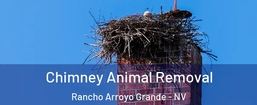 Chimney Animal Removal Rancho Arroyo Grande - NV