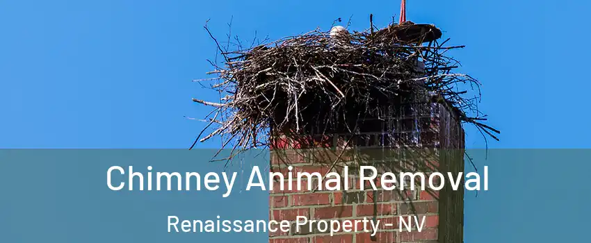 Chimney Animal Removal Renaissance Property - NV