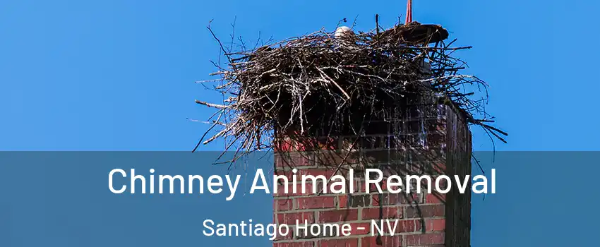 Chimney Animal Removal Santiago Home - NV