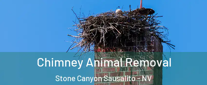 Chimney Animal Removal Stone Canyon Sausalito - NV
