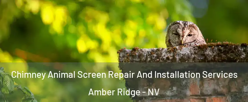 Chimney Animal Screen Repair And Installation Services Amber Ridge - NV