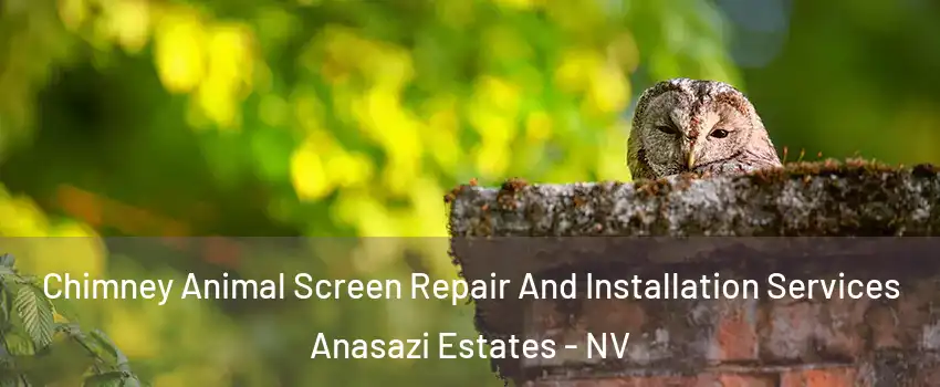 Chimney Animal Screen Repair And Installation Services Anasazi Estates - NV