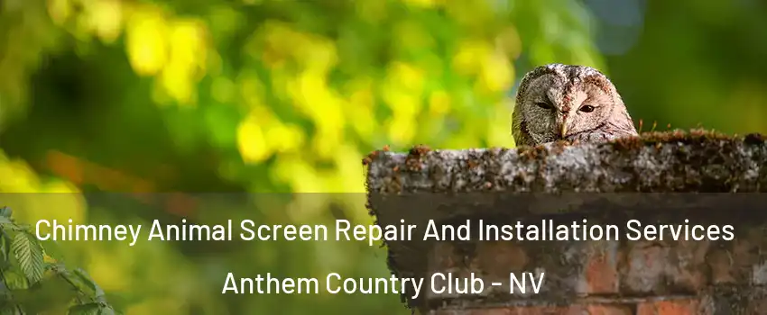 Chimney Animal Screen Repair And Installation Services Anthem Country Club - NV