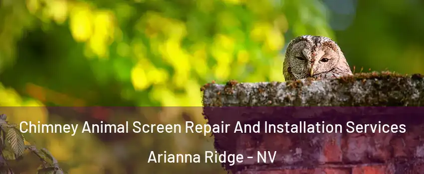 Chimney Animal Screen Repair And Installation Services Arianna Ridge - NV