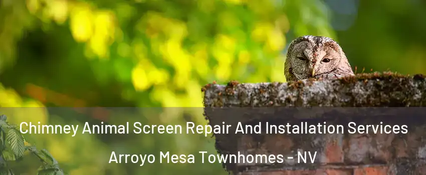 Chimney Animal Screen Repair And Installation Services Arroyo Mesa Townhomes - NV