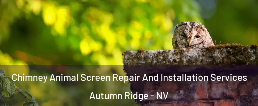Chimney Animal Screen Repair And Installation Services Autumn Ridge - NV