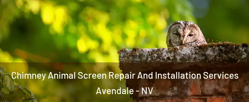 Chimney Animal Screen Repair And Installation Services Avendale - NV