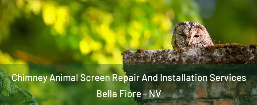 Chimney Animal Screen Repair And Installation Services Bella Fiore - NV