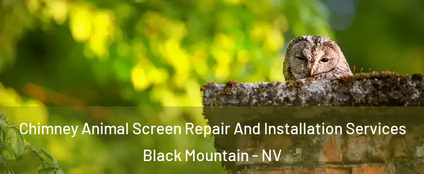 Chimney Animal Screen Repair And Installation Services Black Mountain - NV