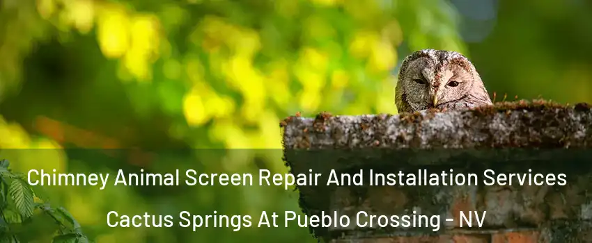Chimney Animal Screen Repair And Installation Services Cactus Springs At Pueblo Crossing - NV