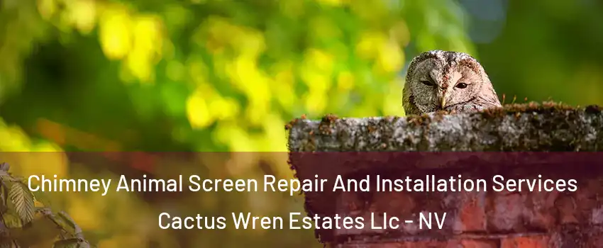 Chimney Animal Screen Repair And Installation Services Cactus Wren Estates Llc - NV