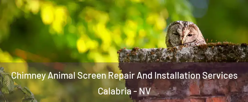 Chimney Animal Screen Repair And Installation Services Calabria - NV