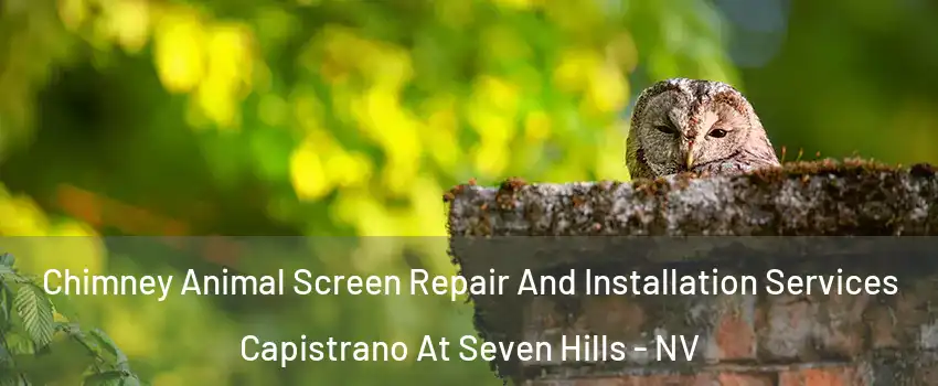 Chimney Animal Screen Repair And Installation Services Capistrano At Seven Hills - NV