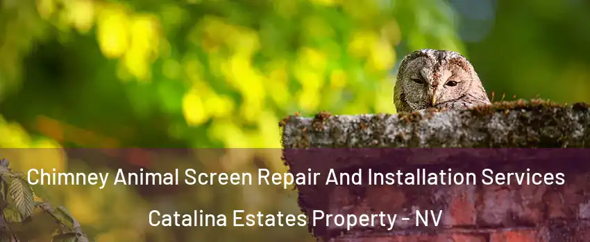 Chimney Animal Screen Repair And Installation Services Catalina Estates Property - NV