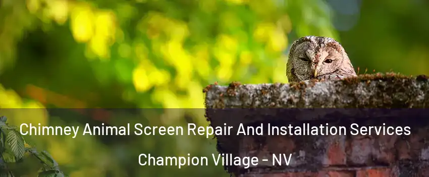 Chimney Animal Screen Repair And Installation Services Champion Village - NV