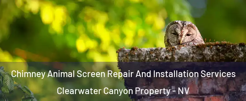 Chimney Animal Screen Repair And Installation Services Clearwater Canyon Property - NV