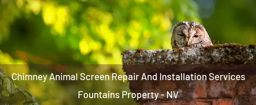 Chimney Animal Screen Repair And Installation Services Fountains Property - NV